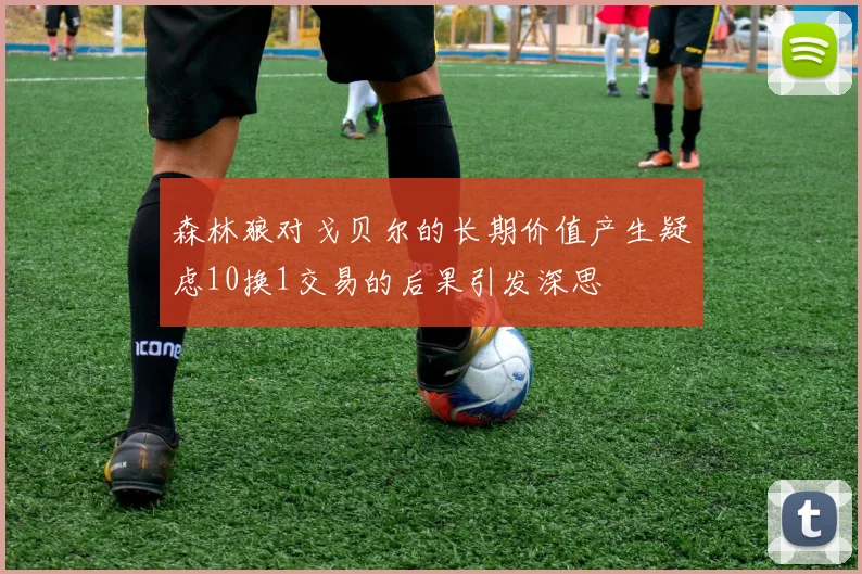 森林狼对戈贝尔的长期价值产生疑虑10换1交易的后果引发深思
